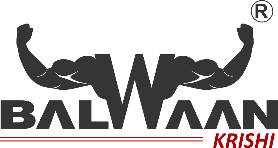 Balwaan logo